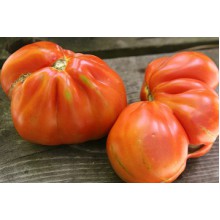 Редкие сорта томатов Франки Ред Пиар